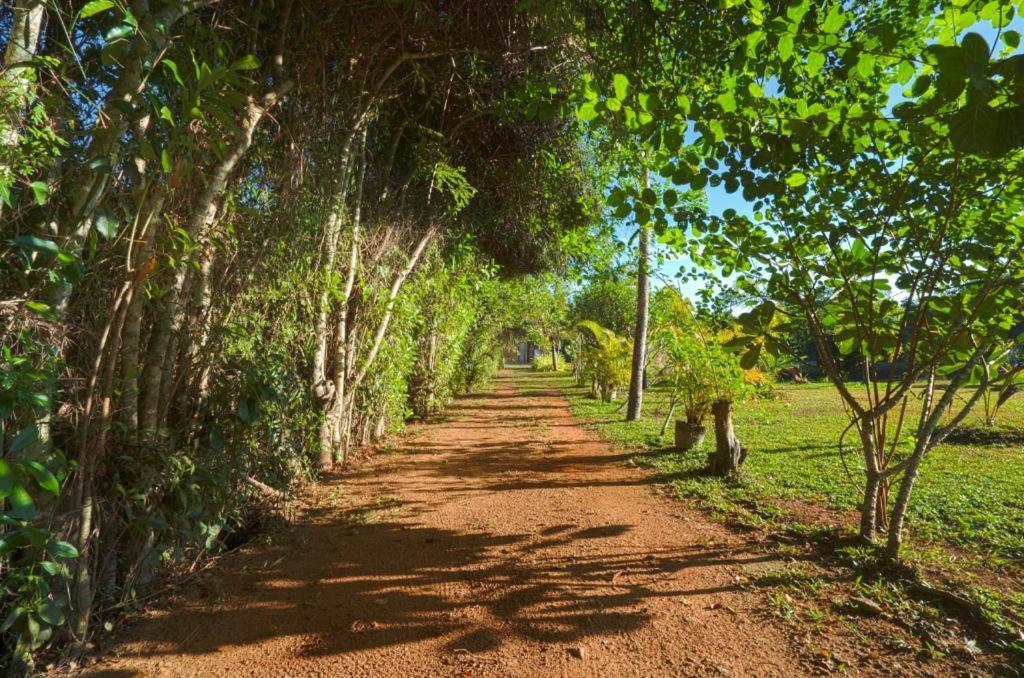 Happy Man Village Bentota Luaran gambar